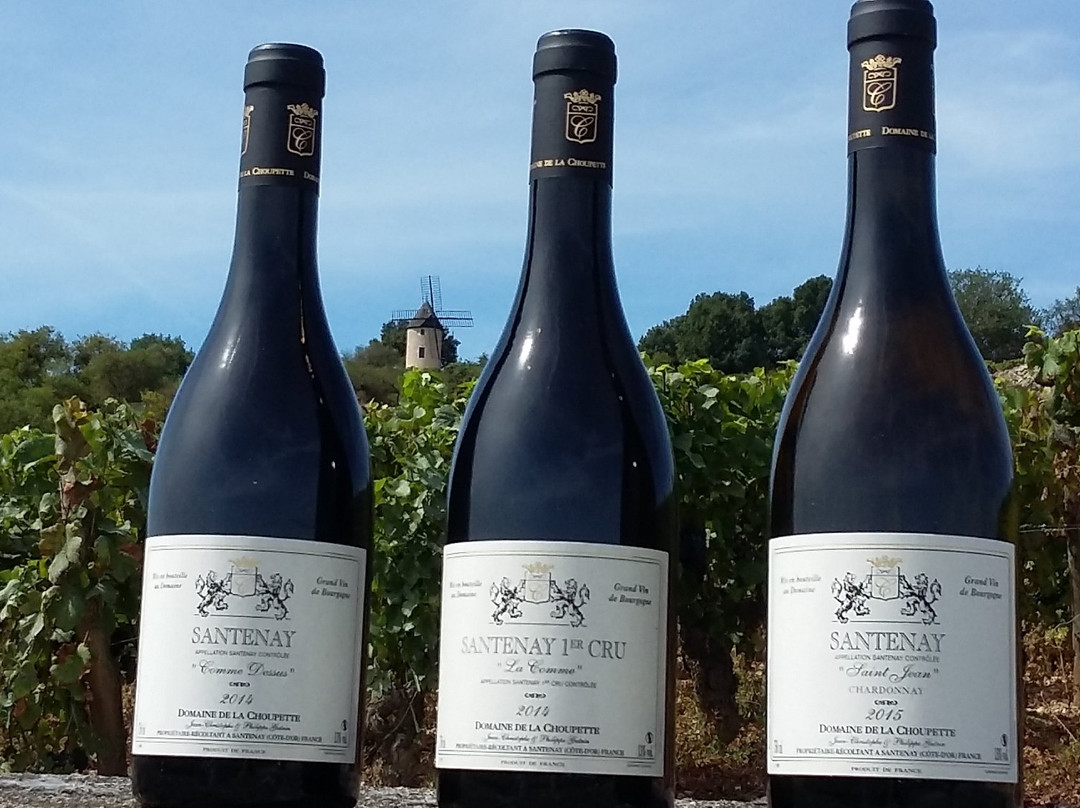 Domaine De La Choupette-Gutrin Fils景点图片