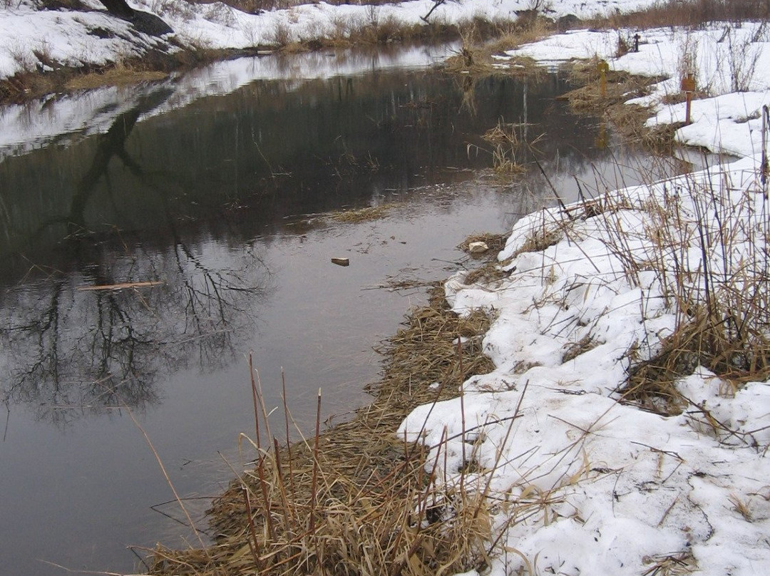 Park Valley of River Skhodnya-莫斯科必去景点