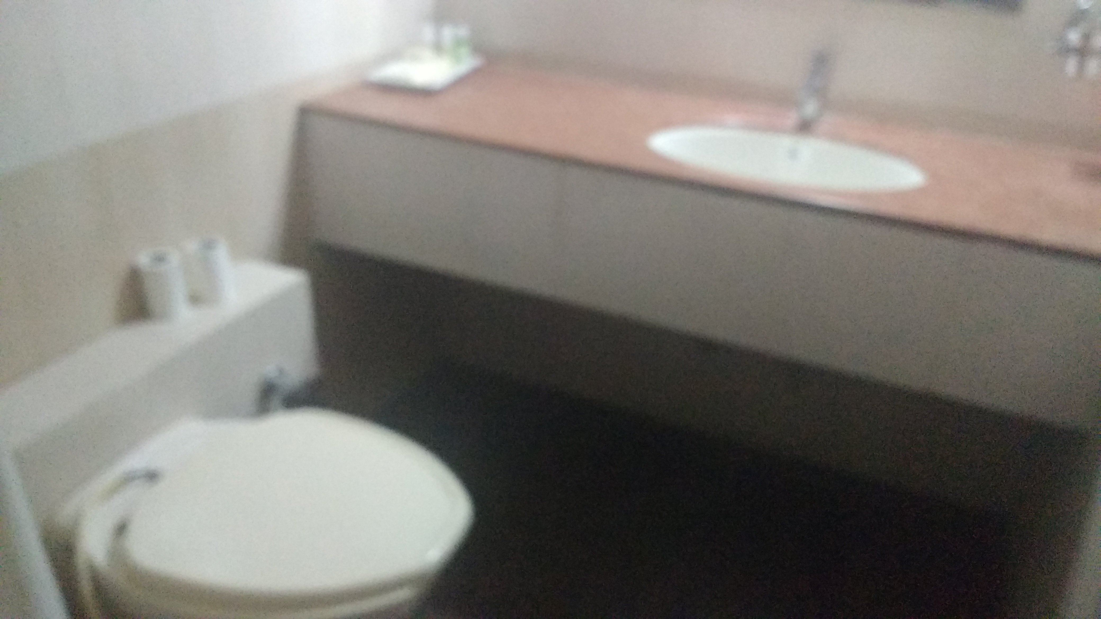 Hotel Kaveri International-浴室