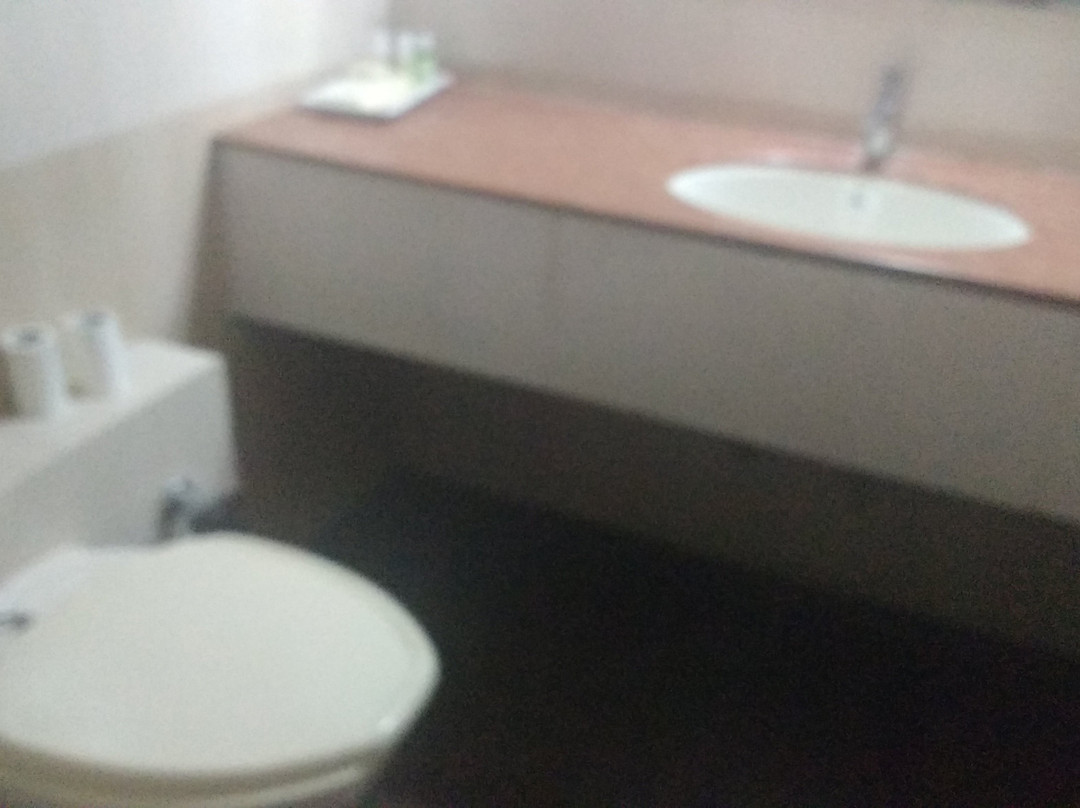 Hotel Kaveri International主图