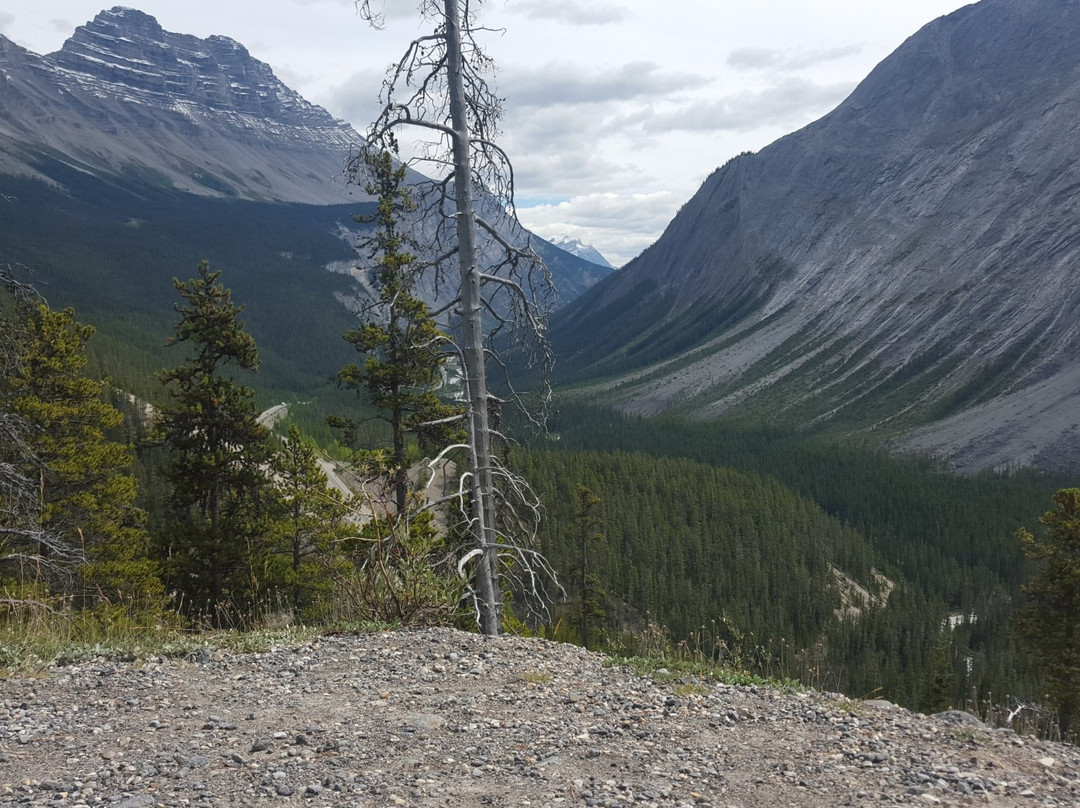 Sunwapta Pass-艾伯塔必去景点