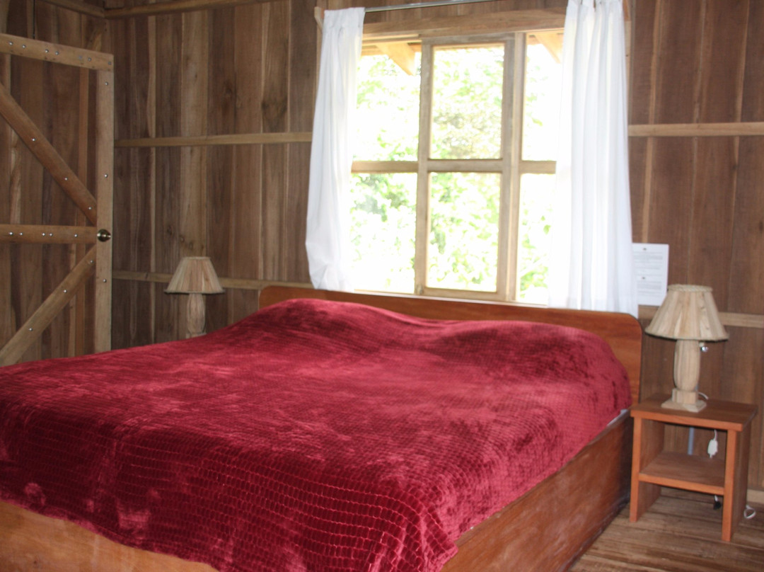 Upala酒店住宿-Finca Amistad Cacao Lodge