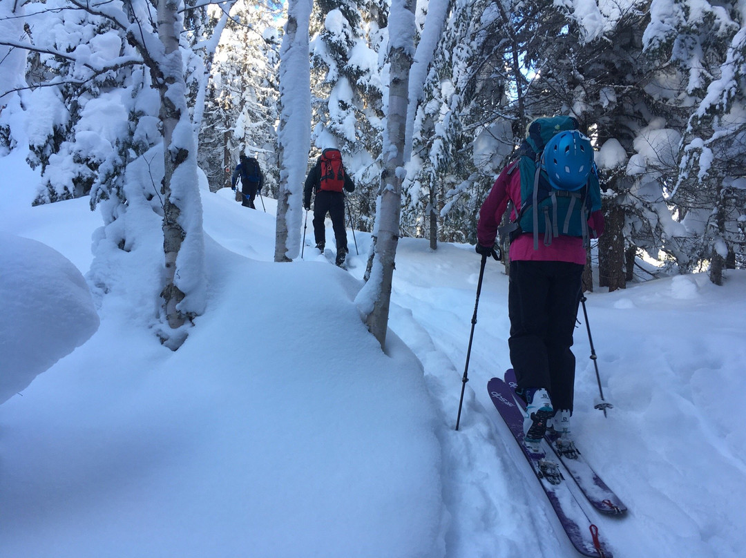 Whisjack-Petite-Riviere-Saint-Francois必去景点