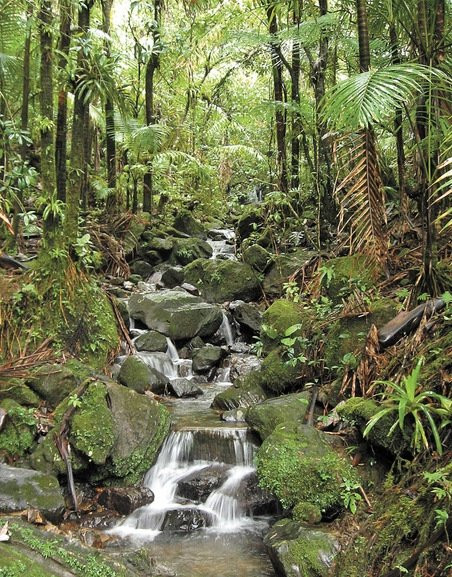 Puerto Rico Green Transportation-Humacao必去景点