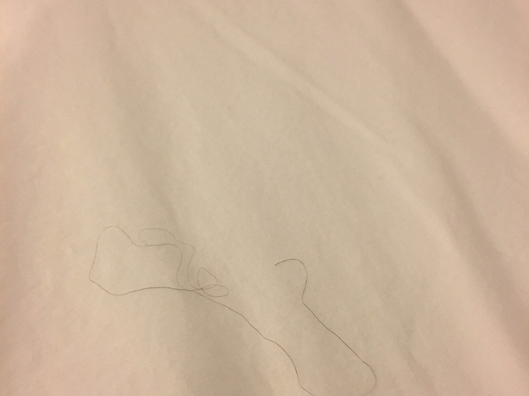 Fort Union Inn主图