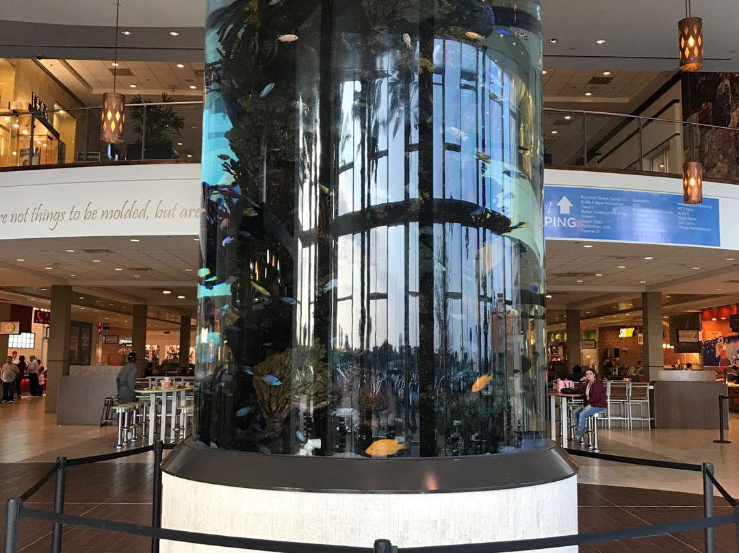 La Palmera, Corpus Christi-科珀斯克里斯蒂市必去景点