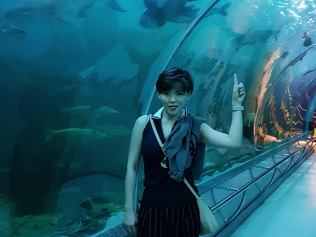 Bueng Boraphet Aquarium景点图片