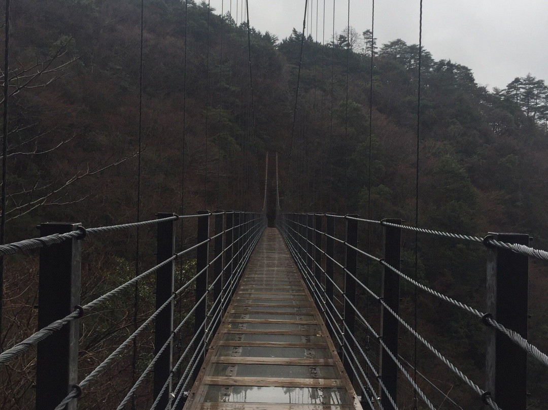 Hkuryuhi & Hakuryuo Bridge景点图片
