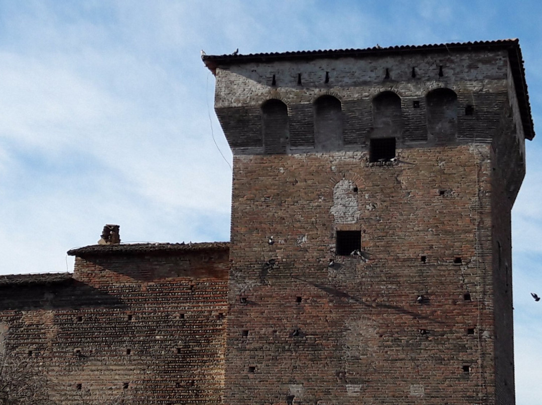 Castello Visconteo景点图片
