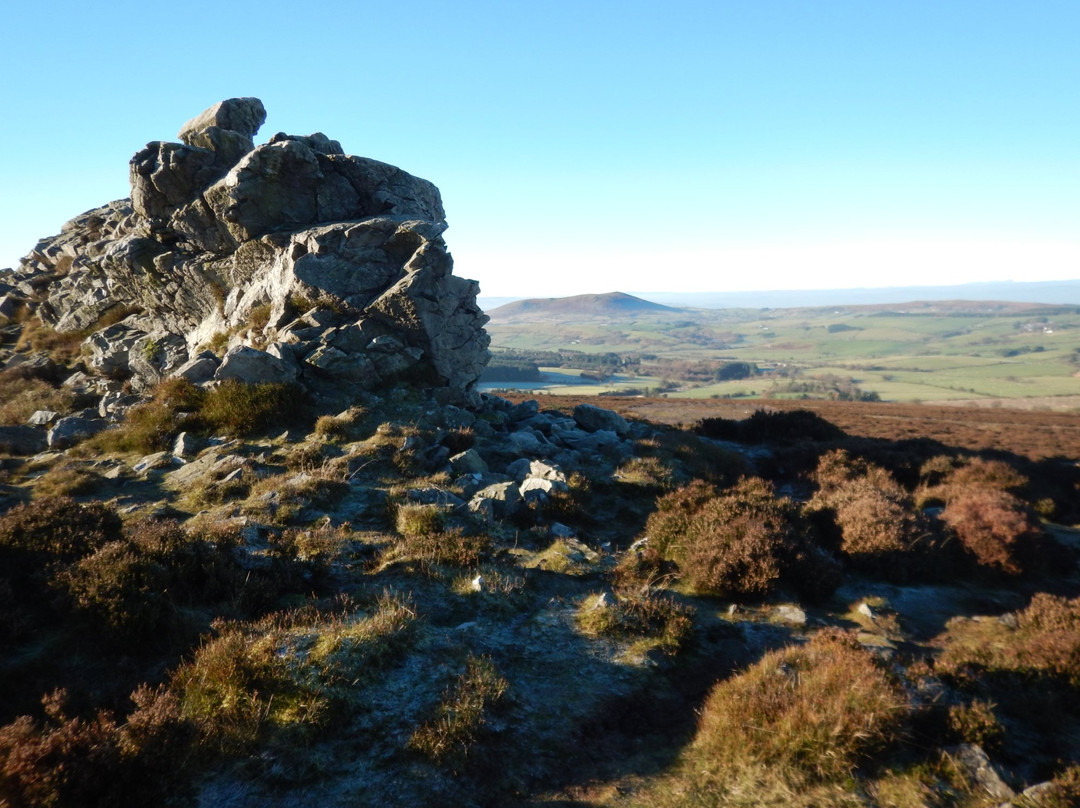 Stiperstones Nature Reserve景点图片