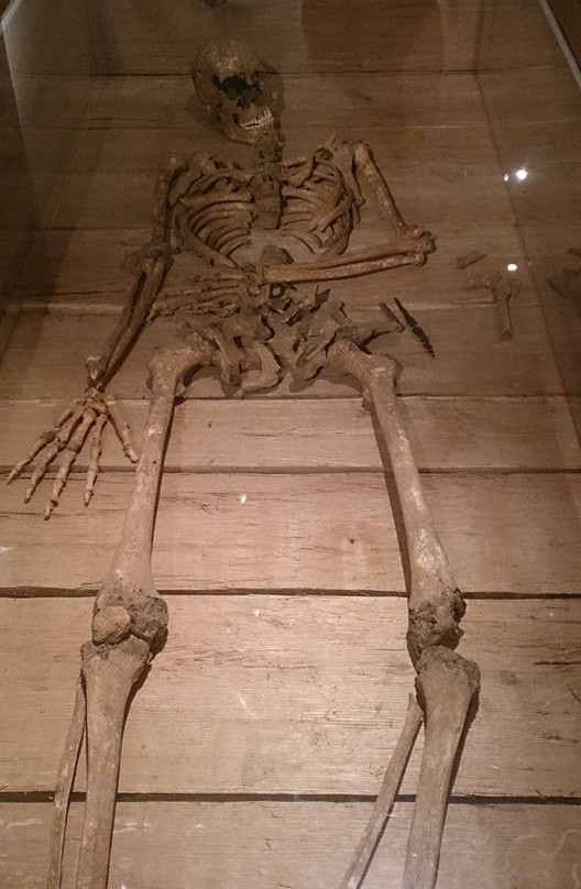 Kroppedal Museum景点图片
