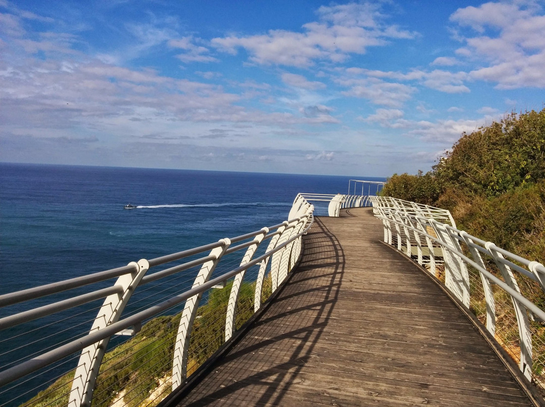 Israeli Guide Ltd-特拉维夫必去景点