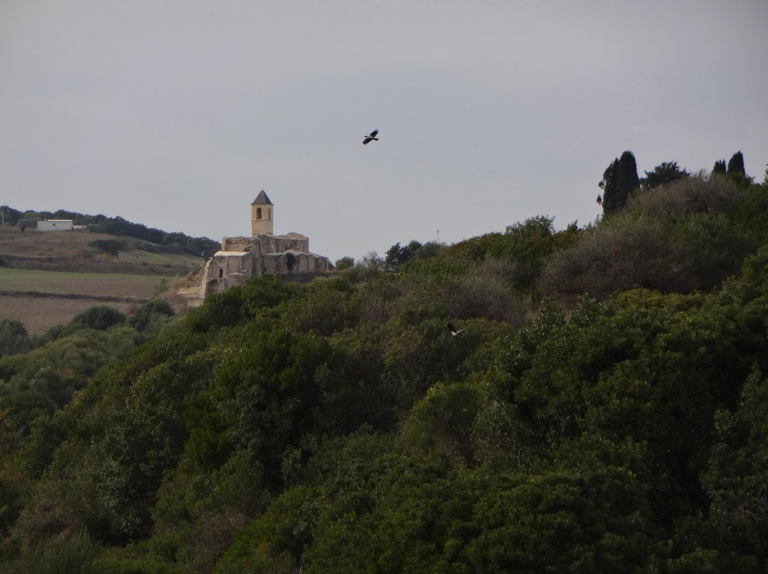La foresta pietrificata di Martis-Martis必去景点