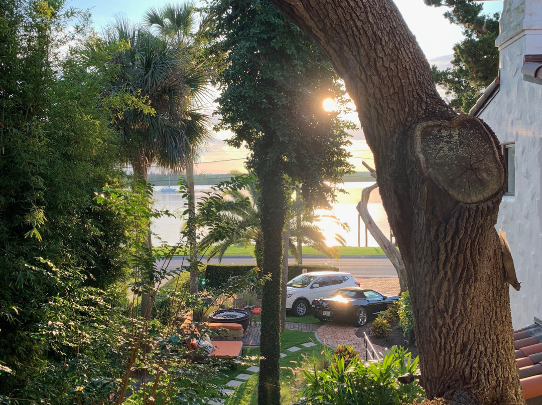 Black Dolphin Inn主图