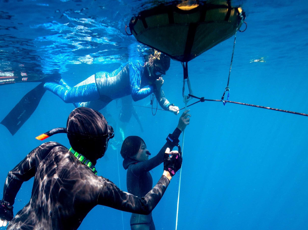 The Freedive Shop-Azaiba必去景点