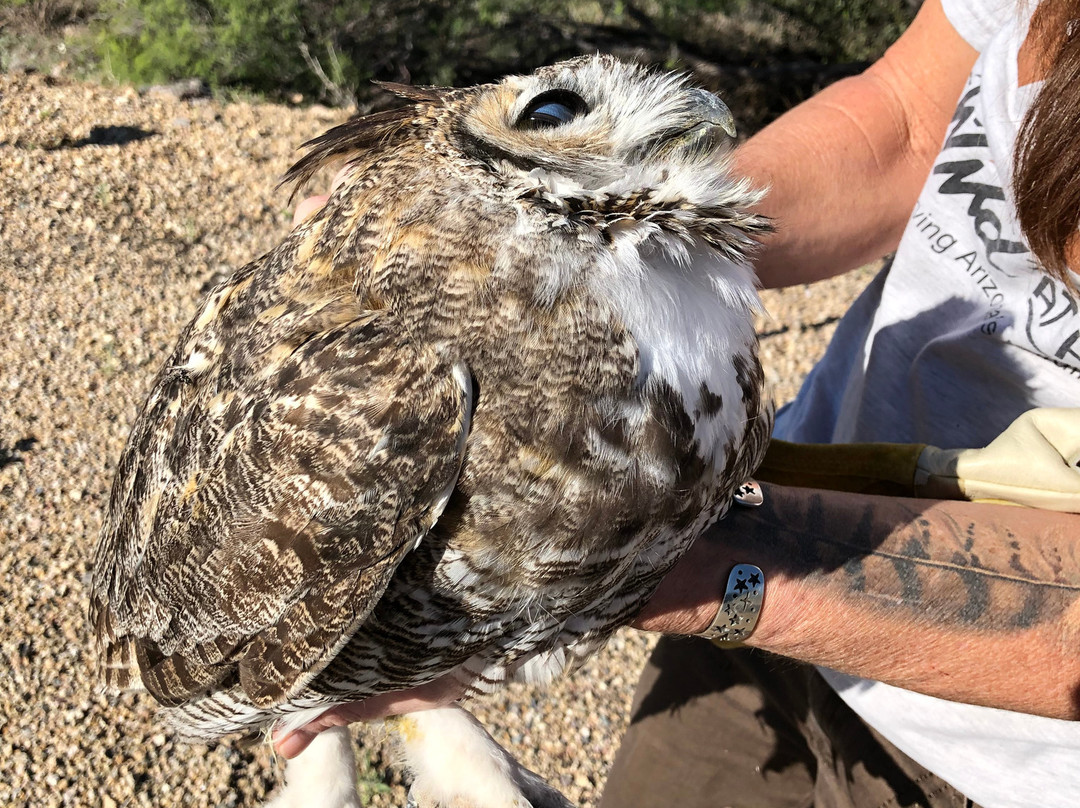 Wild at Heart-洞溪必去景点