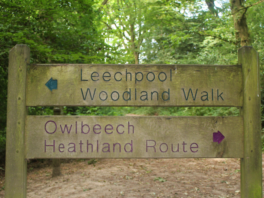 Leechpool and Owlbeech Woods景点图片