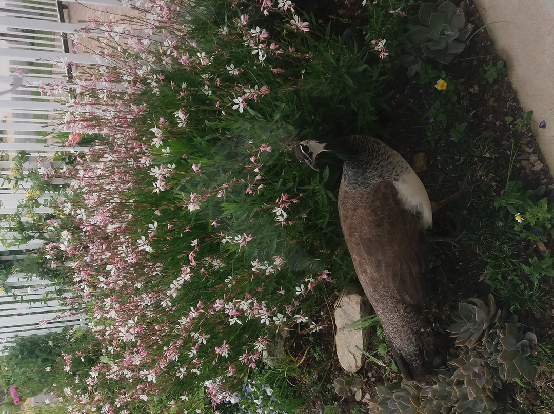 Cape Palette Art Gallery-乔治必去景点