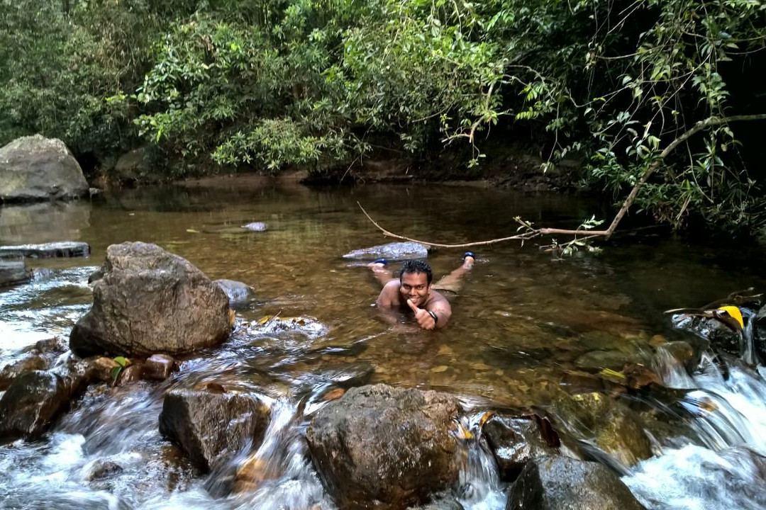 Kanneliya Forest Resort主图