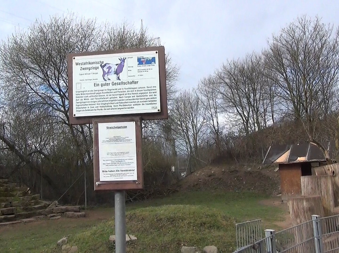 Wildpark Reuschenberg景点图片