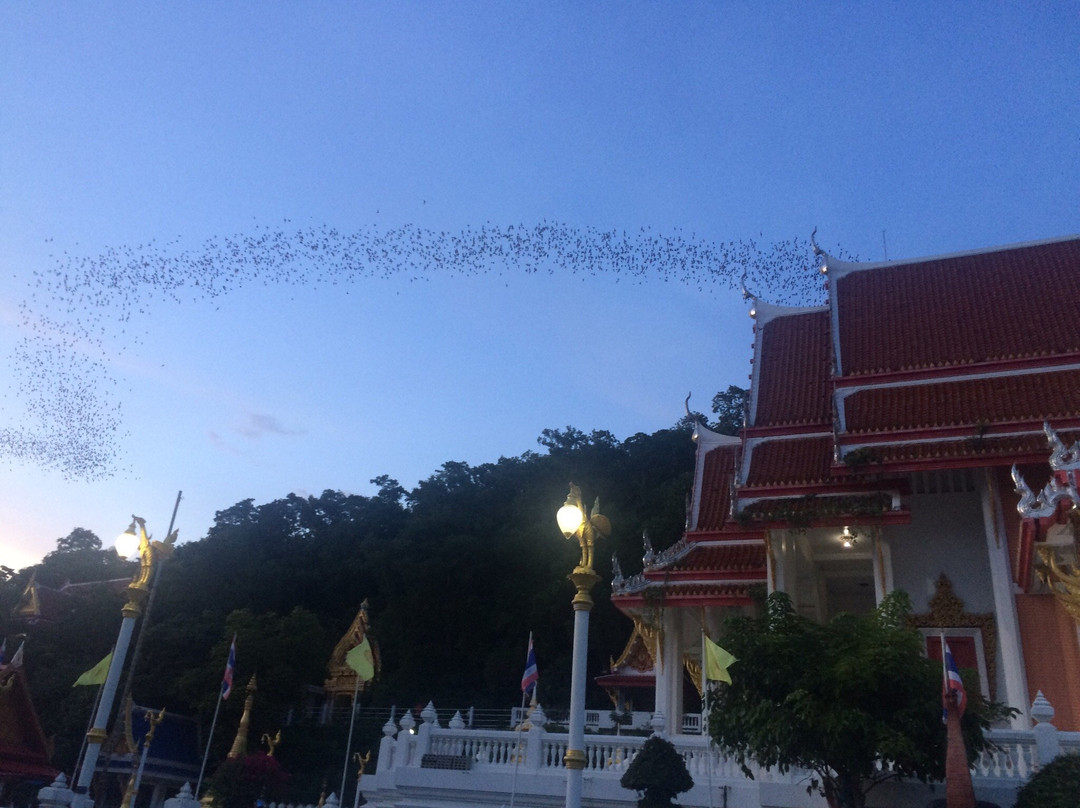 Bat Cave at Wat Khao Chong Pran景点图片
