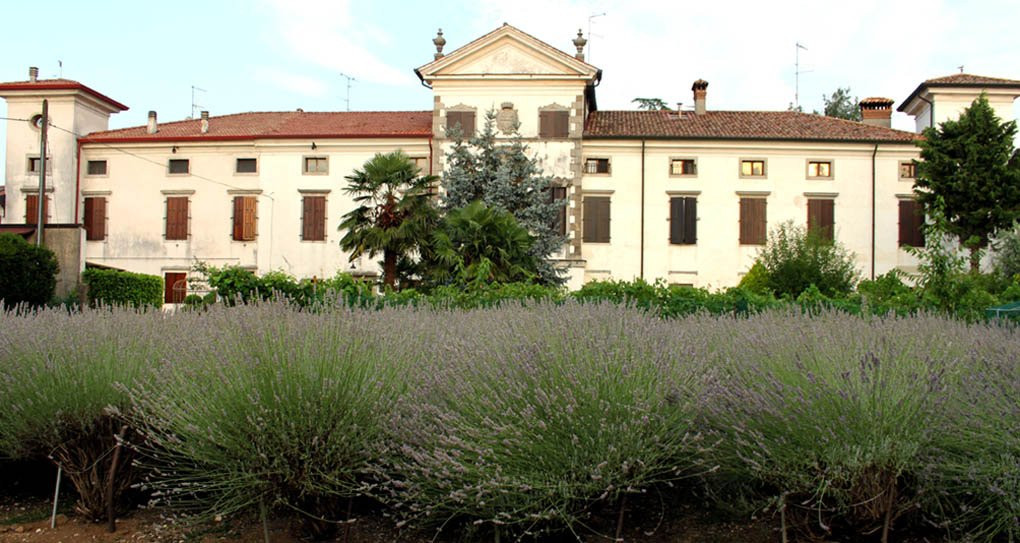 Bed and Breakfast di Villa Ottelio主图