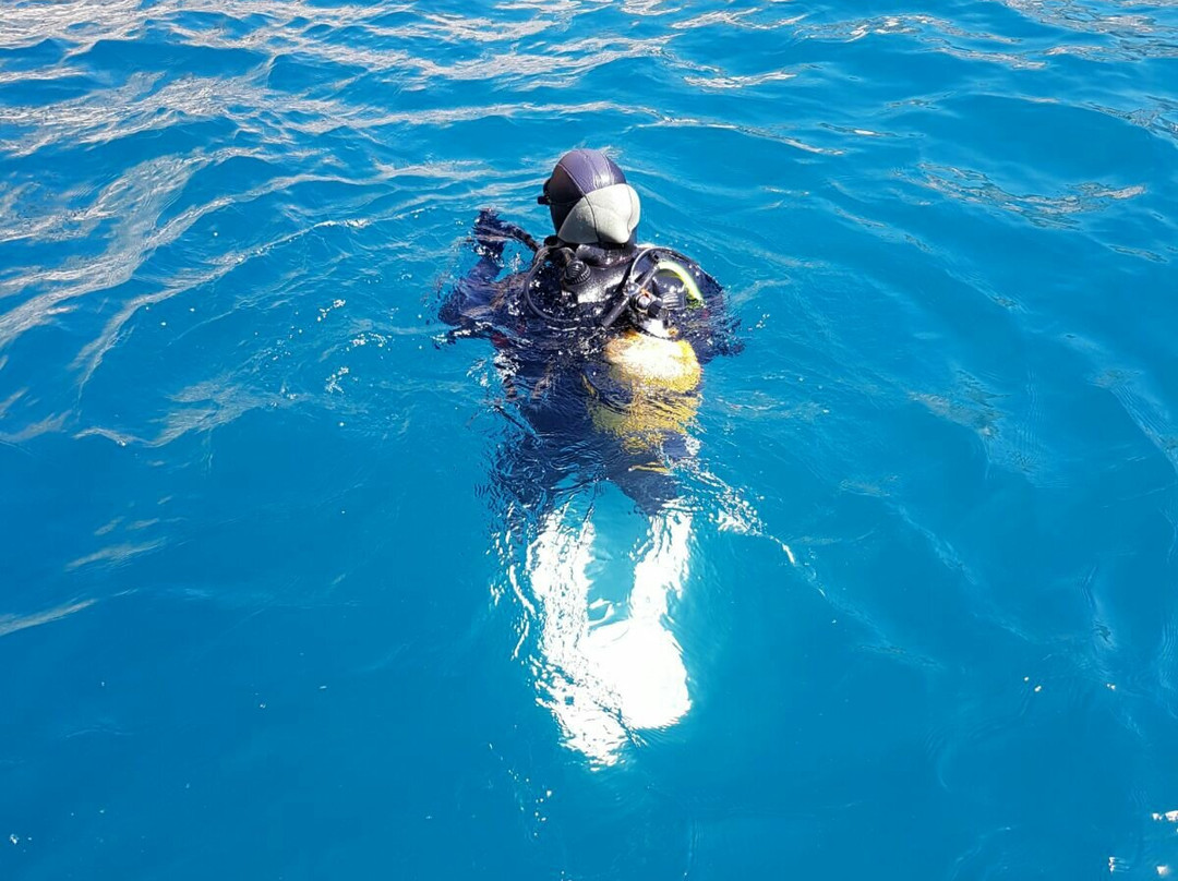 Escuela de Buceo Bubbles Sea-Torrenueva必去景点