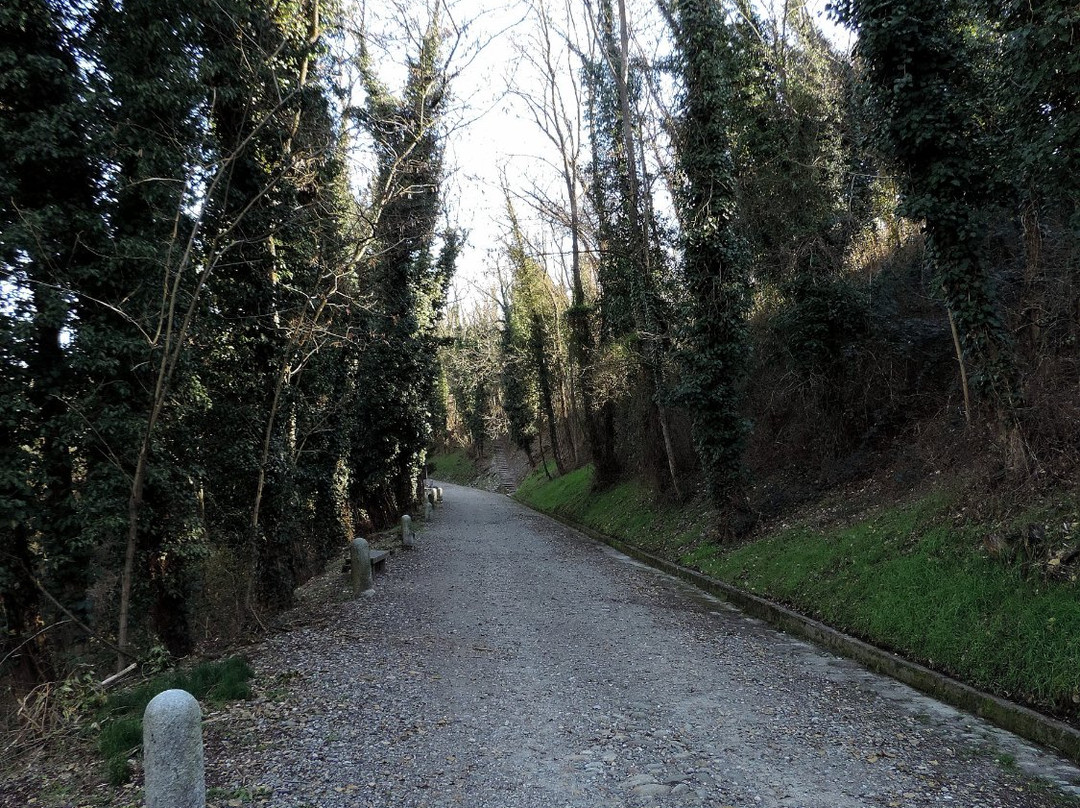 Centro Parco Ex Dogana景点图片