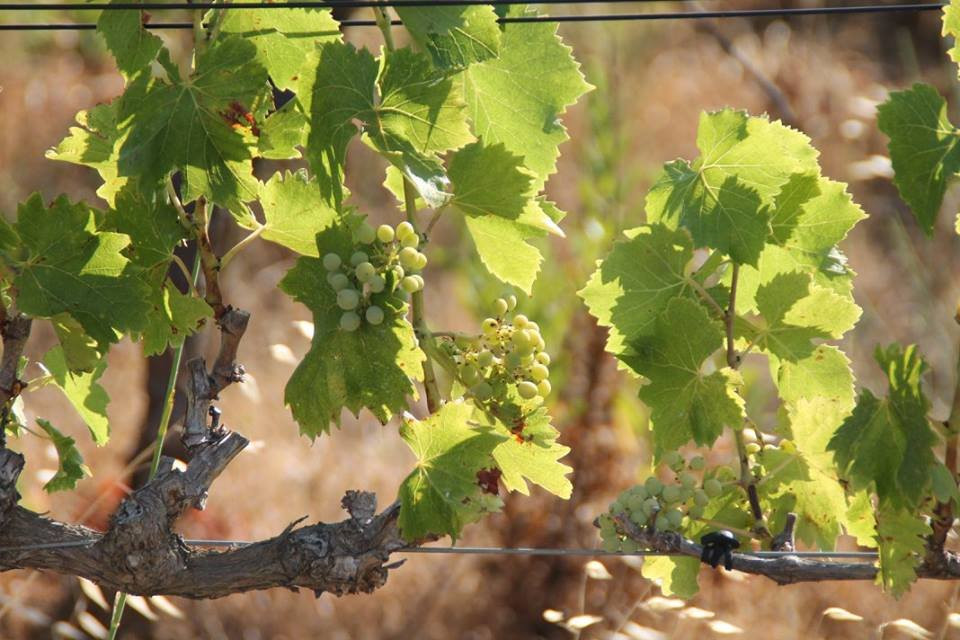 Domaine Les Cascades景点图片