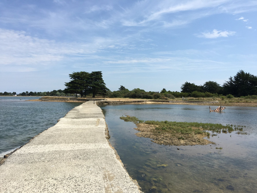 Ile-d'Arz旅游景点-Le Moulin à Marée de Berno