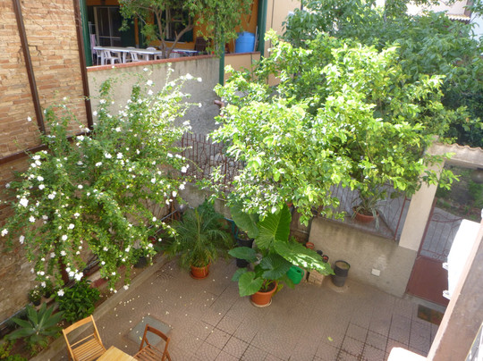 Archi旅游攻略图片