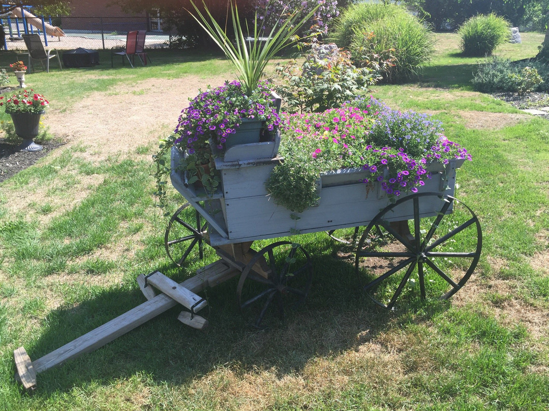 Amity Rose Bed and Breakfast主图