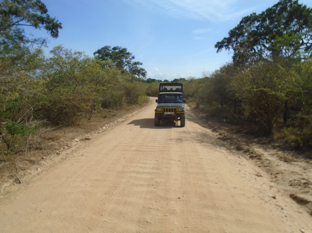 Yala Excursions-雅拉国家公园必去景点