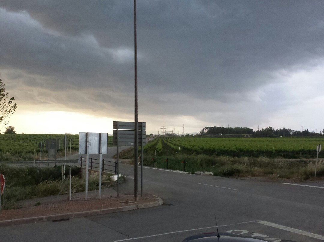 Raimat旅游攻略图片