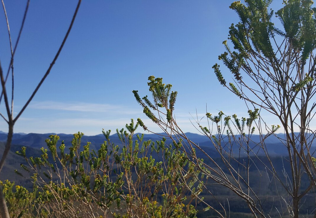 Spitzkop Viewpoint-克尼斯纳必去景点
