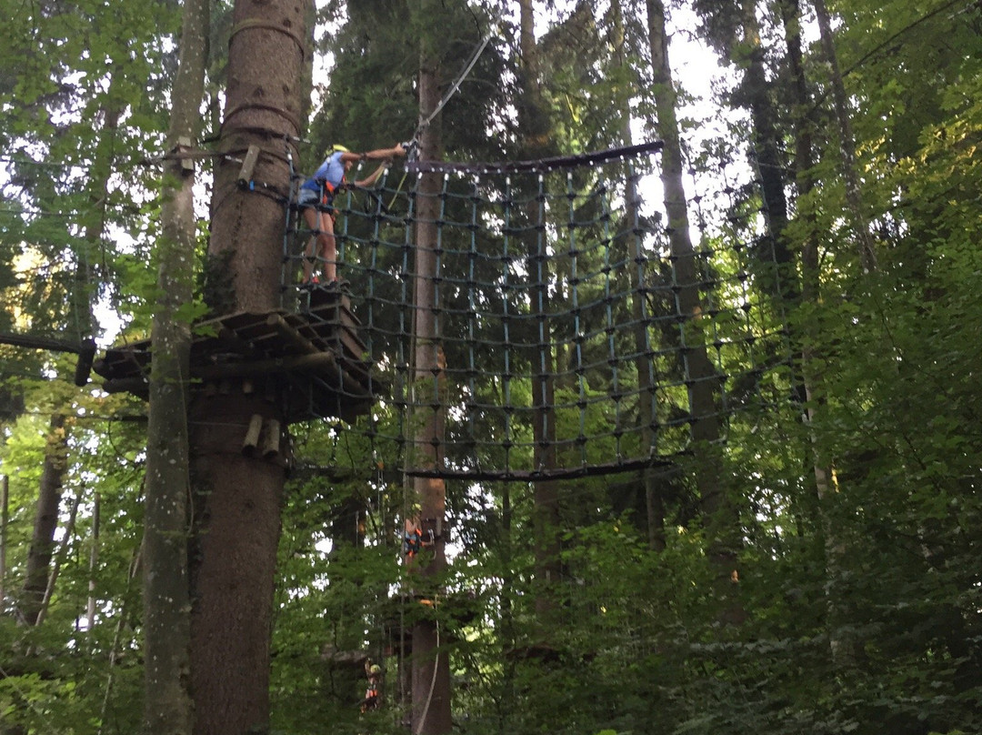 Kletterwald Prien-基姆湖畔普林必去景点