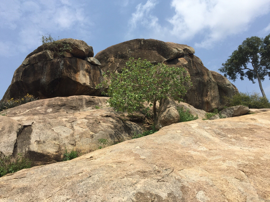 Nyero Rock Paintings-Mbale必去景点