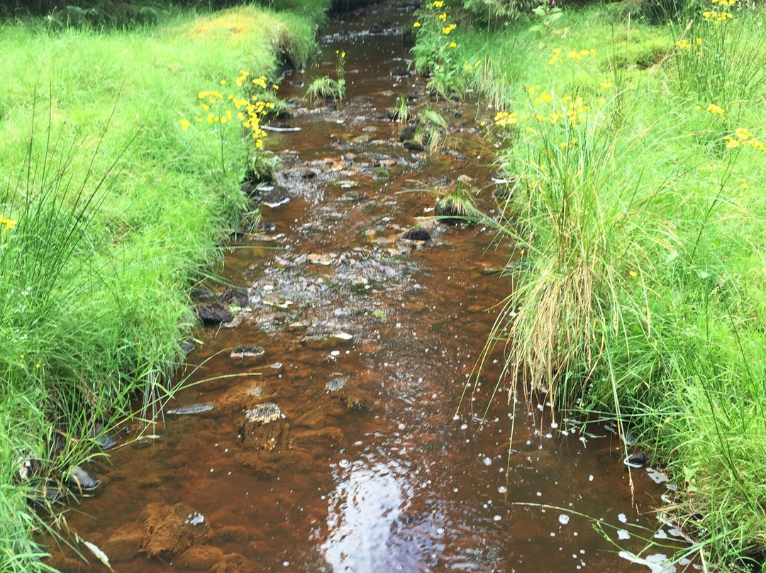 Davagh Forest Trails景点图片