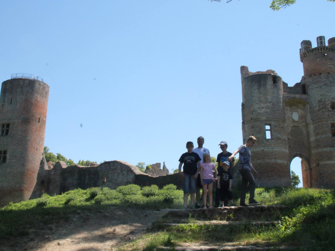 Chateau de Bressieux景点图片