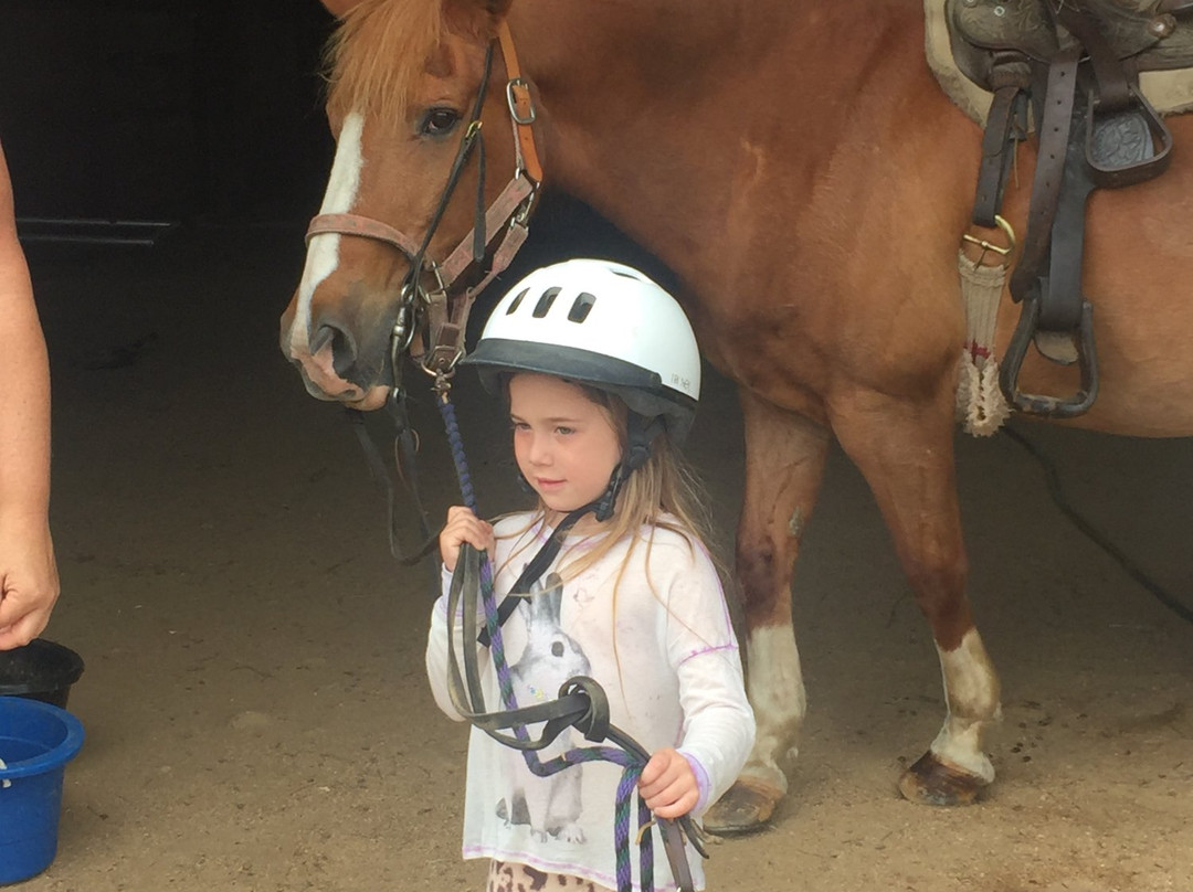 Rita's Stable-蒙托克必去景点