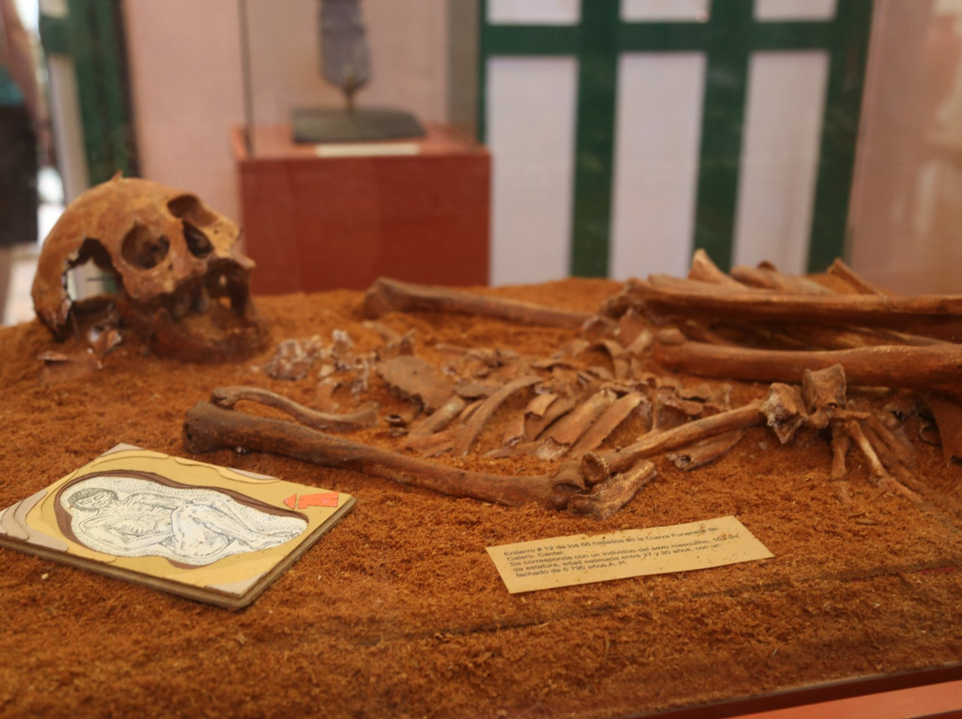 Museo Casa Natal de José Antonio Echeverría景点图片