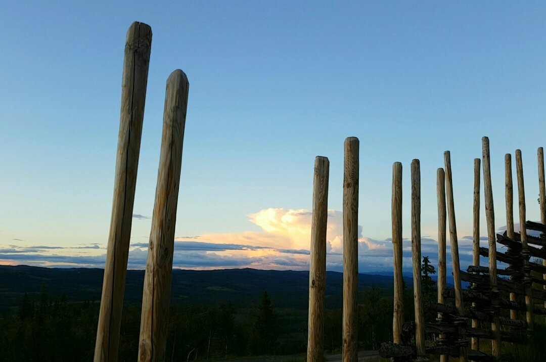 Liatoppen Fjellpark景点图片