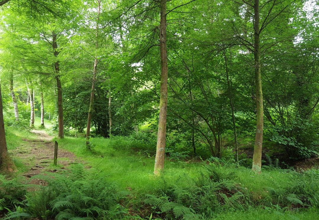 Parque Natural de Cotorredondo景点图片