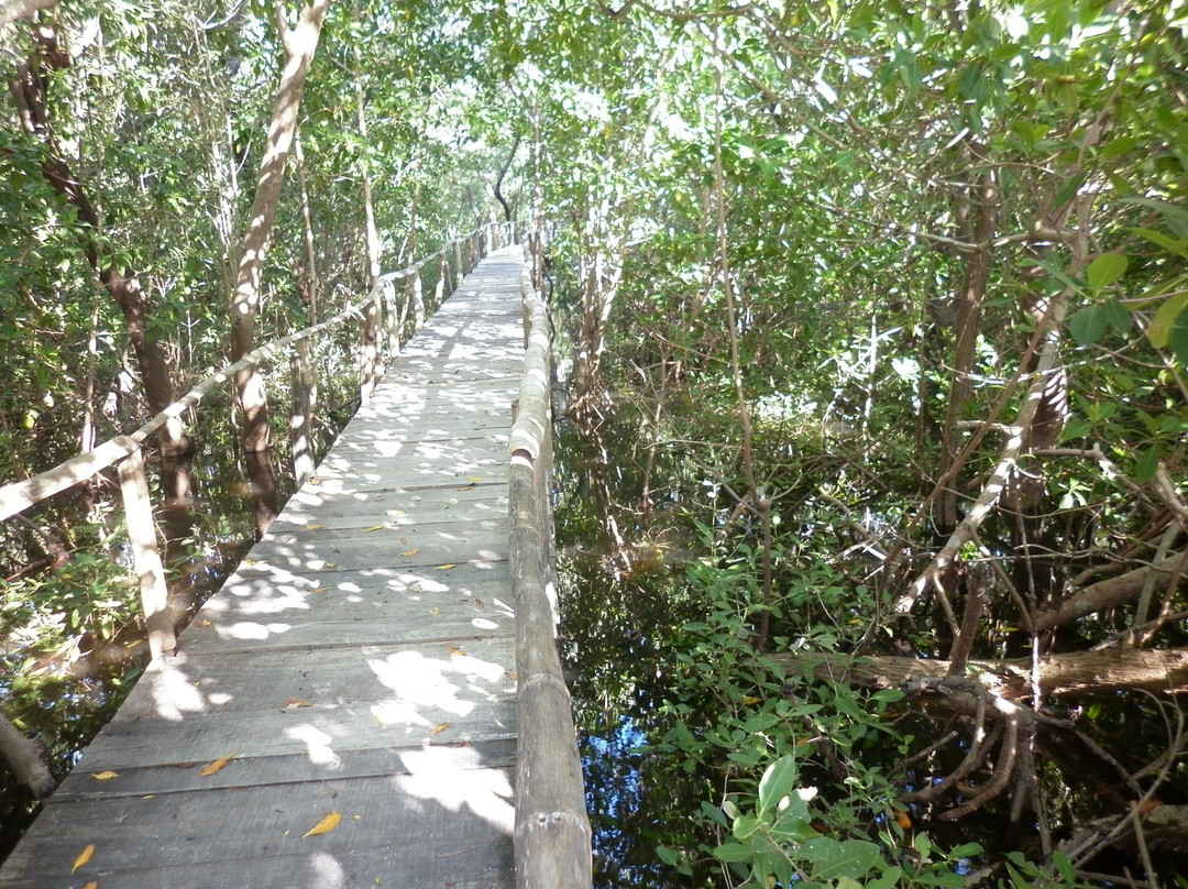 Isla Arena (Isla del Sabalo)-Calkini必去景点