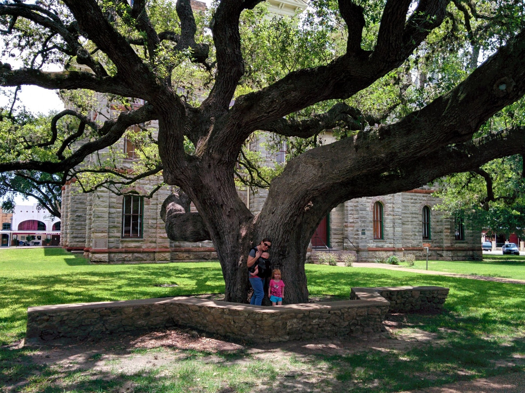 Hanging Tree-Goliad必去景点