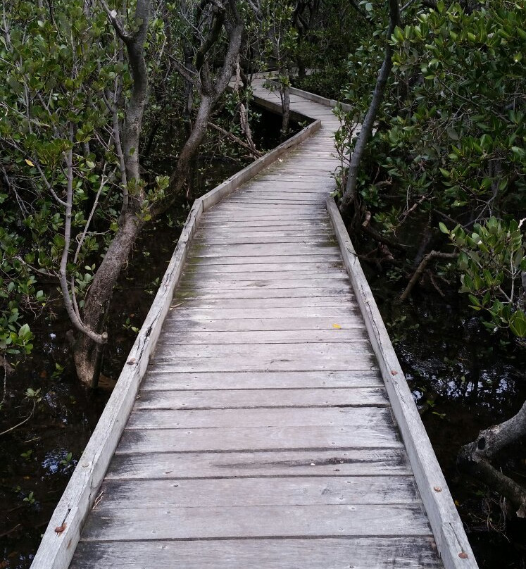 St Kilda Mangrove Trail and Interpretive Centre-圣基尔达必去景点