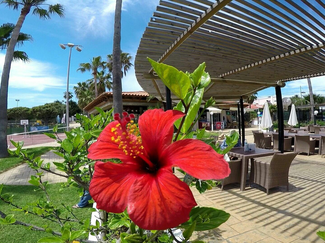 Barcelo Pueblo Menorca Water Park-Punta Prima必去景点
