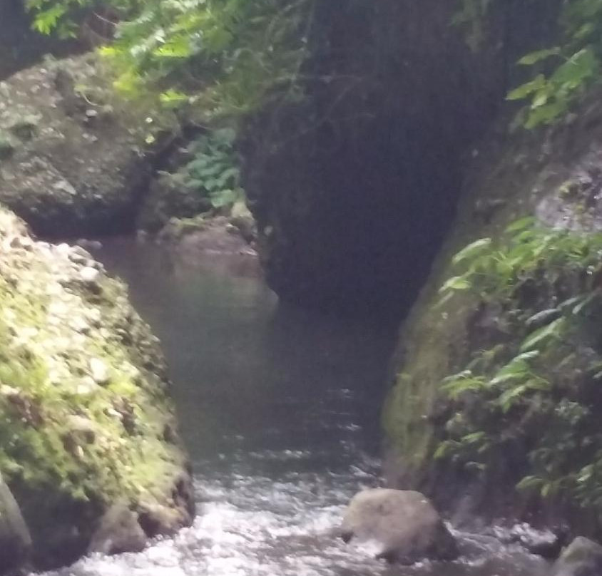 Panguil River Eco Park-Pangil必去景点