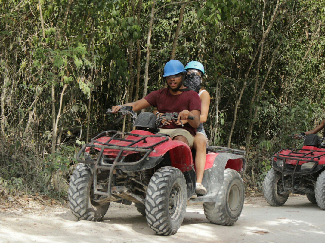 ATV Jungle & Cenote Tour-从莫雷洛斯港必去景点