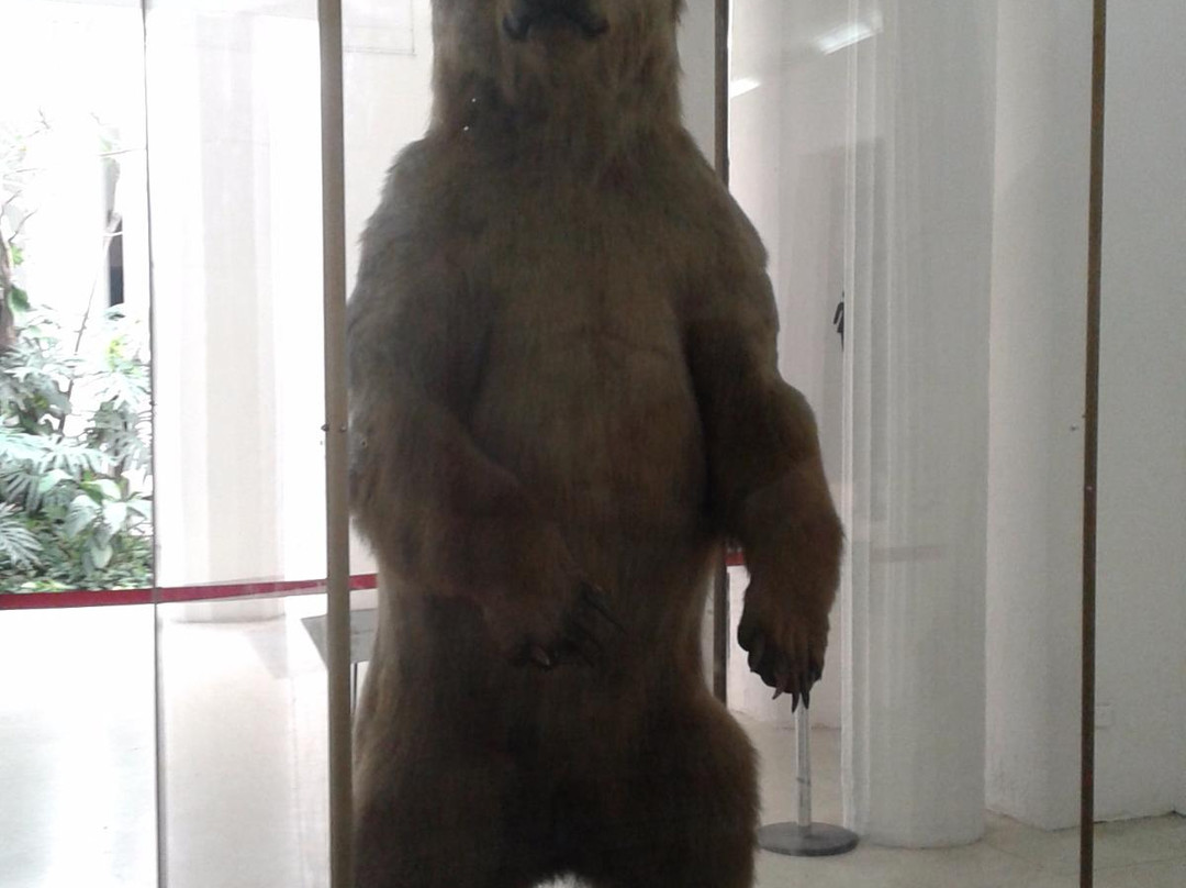 Museo de Ciencias Naturales-加拉加斯必去景点